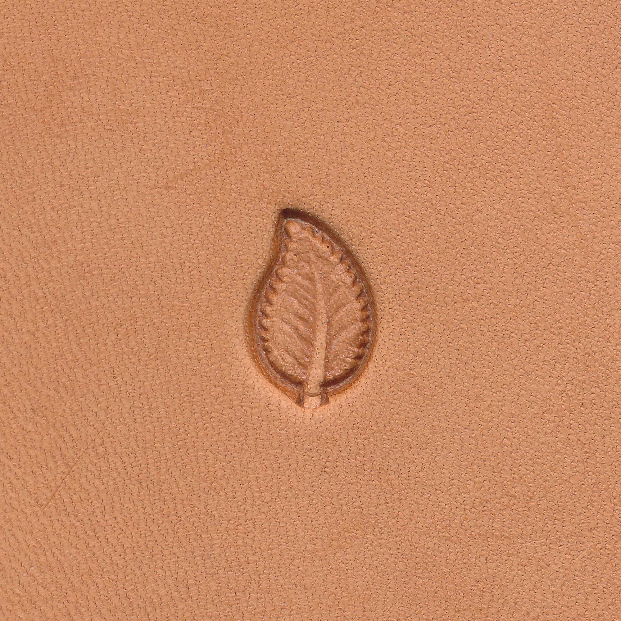 【超特価sale開催】  Flower/Leaf Leather LeatherworkToolSupply.com – 5 Page – Stamps 小物